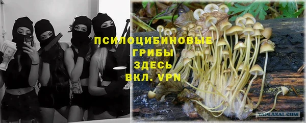 сатива Балабаново